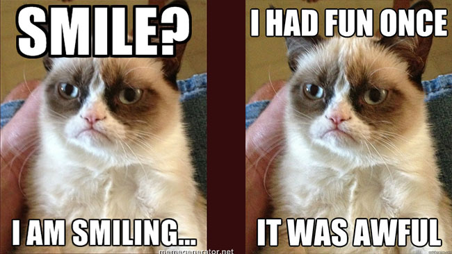 Grumpy Cat