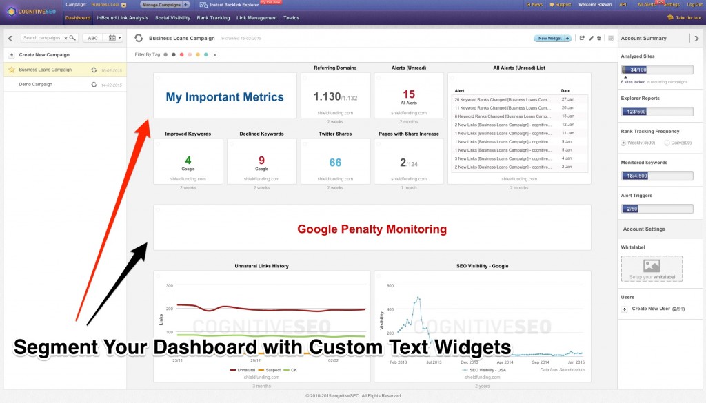 Segment Dashboard cognitiveSEO