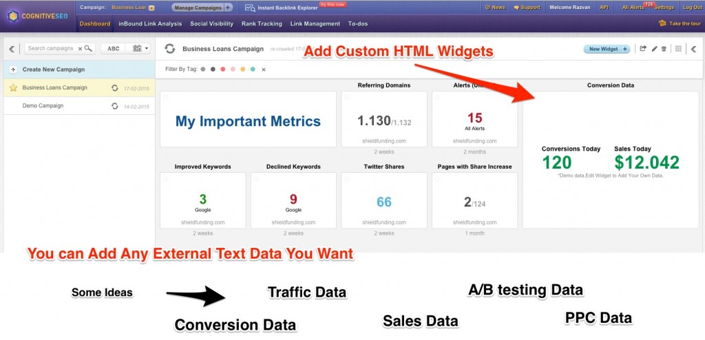 HTML Widgets cognitiveSEO