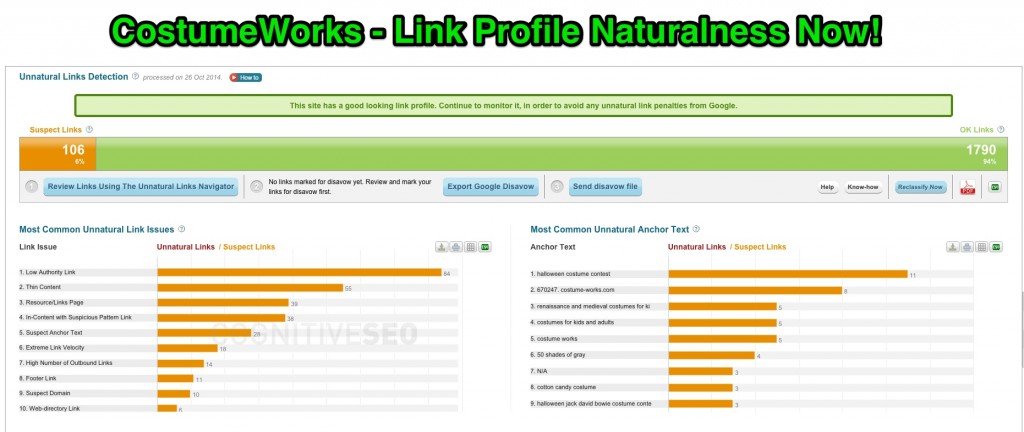 Costumeworks Link Profile Clean Naturalness