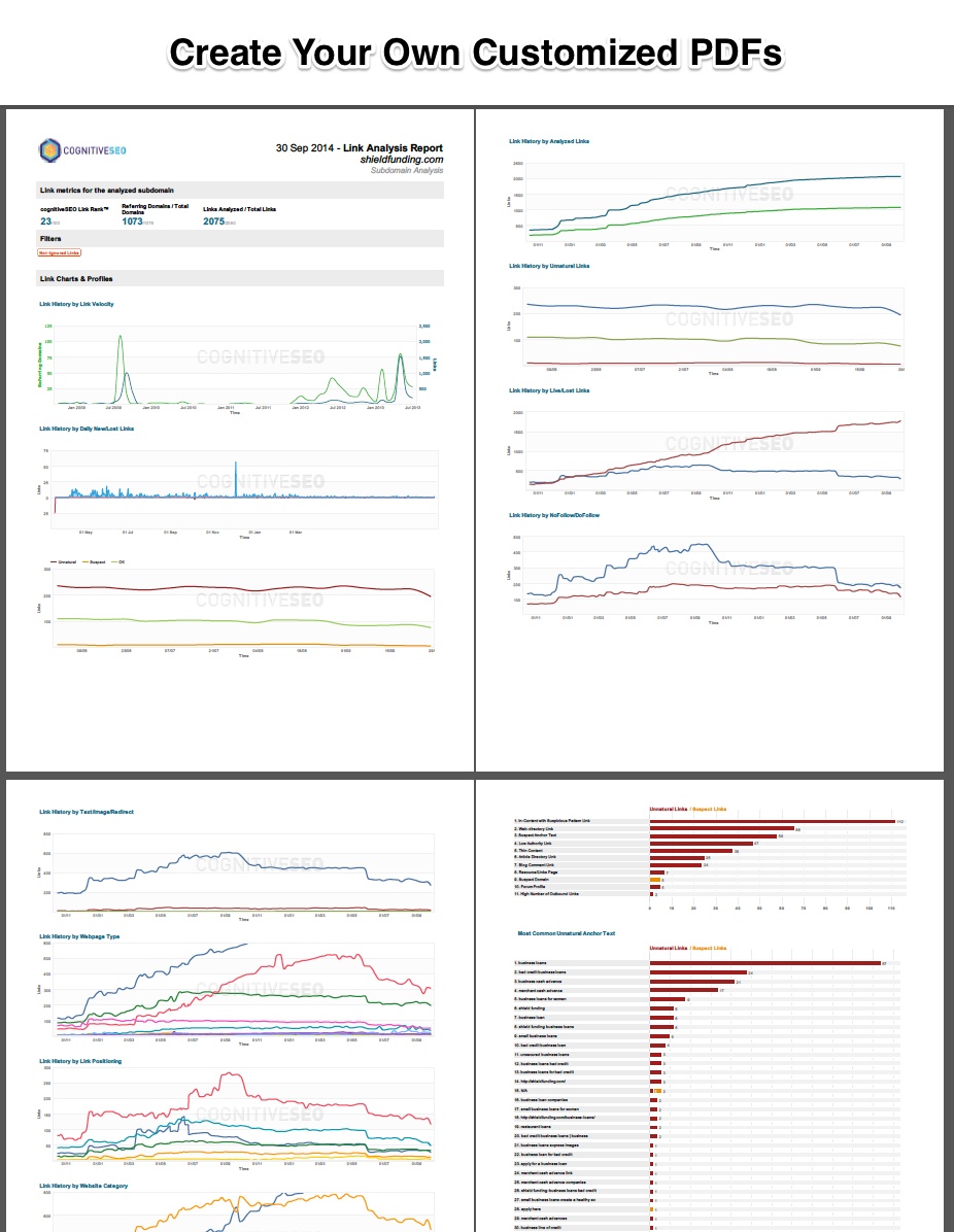 Create Customized PDFs Export cognitiveSEO