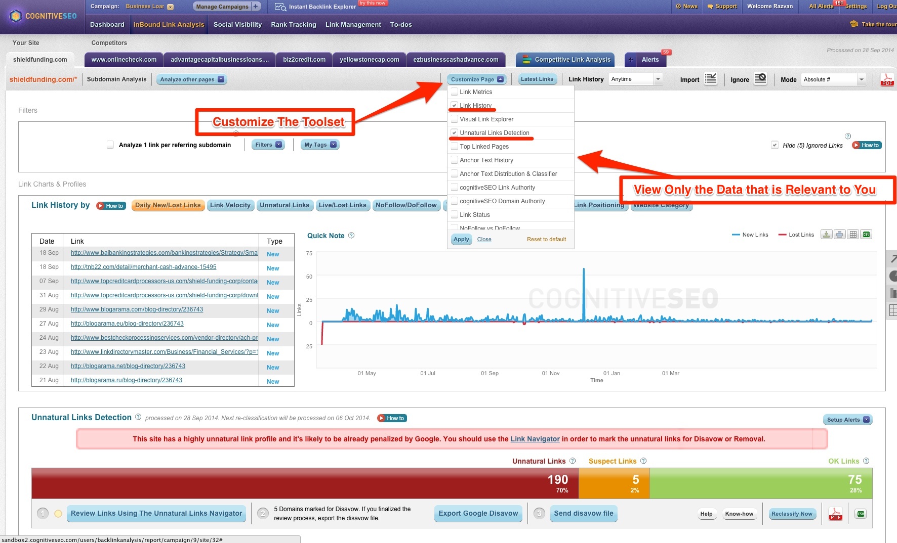 Customize Your Toolset cognitiveSEO