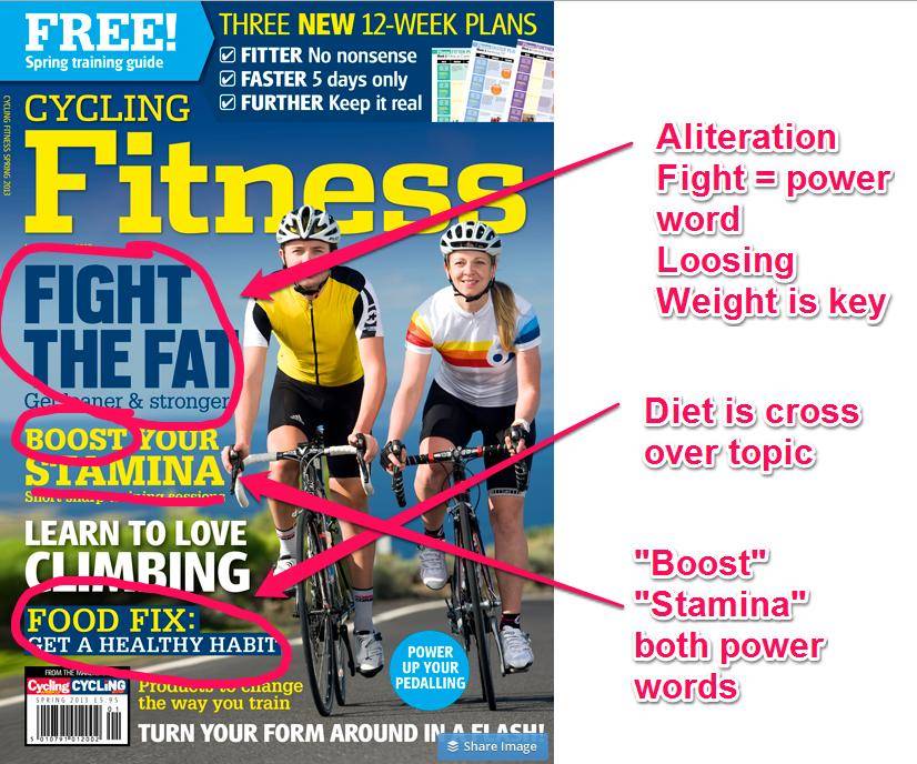 Fitness Niche Headlines