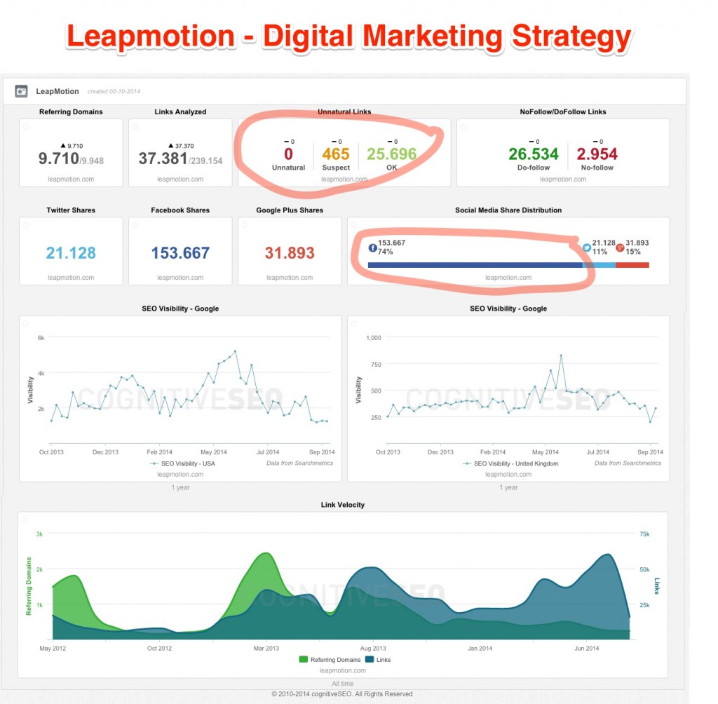 Leapmotion Digital Marketing Strategy