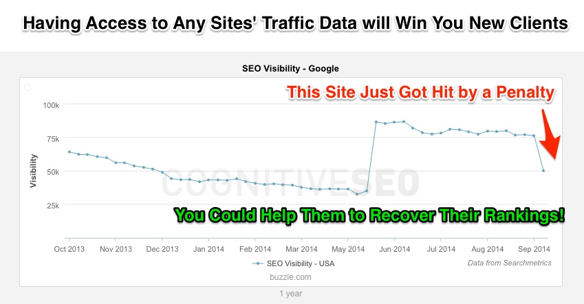 Win New Clients by Spotting Search Engine Penalties