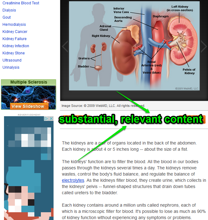 Medterms Site Analysis