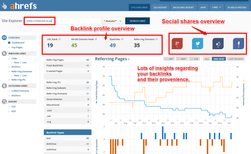 Check Backlink Data About The Domain You Are Currently Browsing