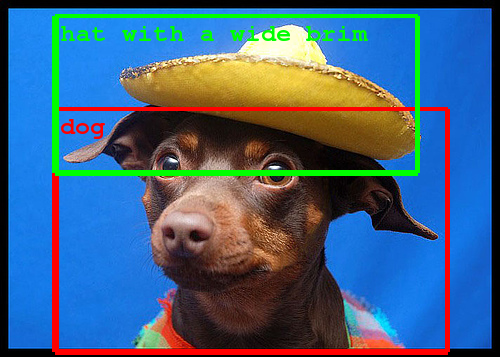 Google Image Recognition Dog With Hat