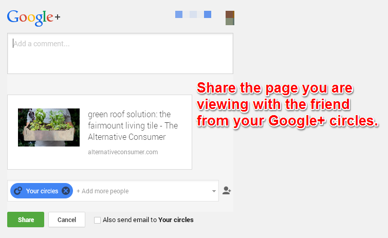 Google Plus Share