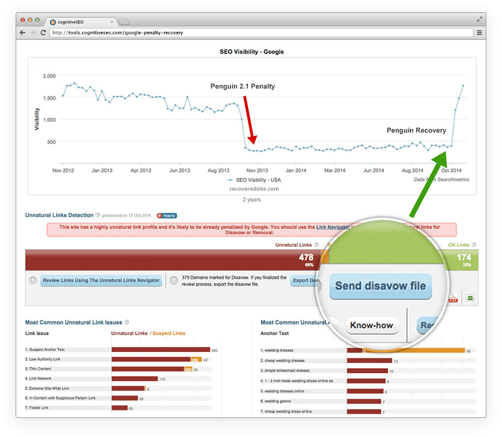 Recover from Google Penguin & Unnatural Links Manual Penalties