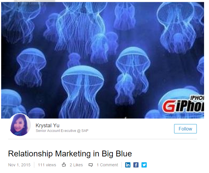 Relationship Marketing in Big Blue