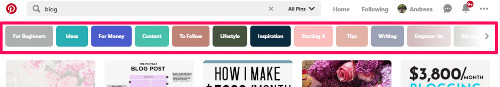 Searching for blog on Pinterest
