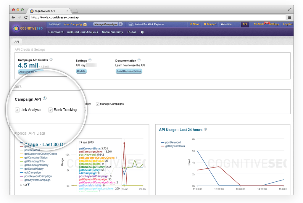 Example Use Cases of the cognitiveSEO API