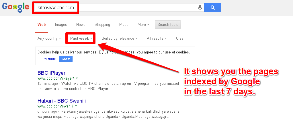 View All Pages Indexed by Google In The Last 7 Days