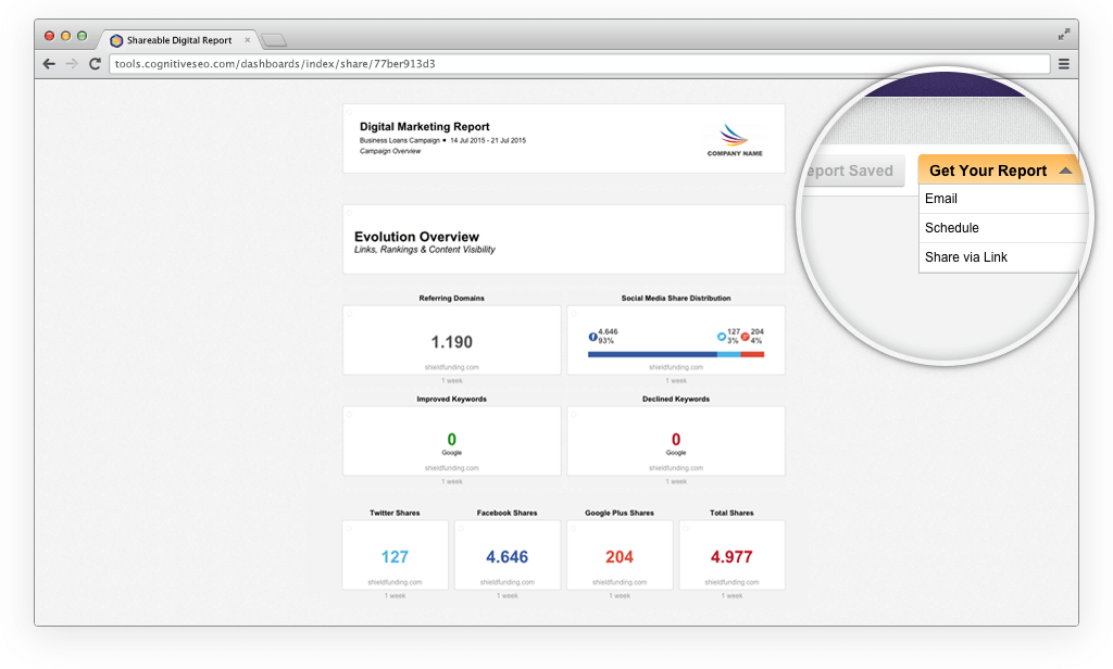 Share Reports with Clients and Team Members