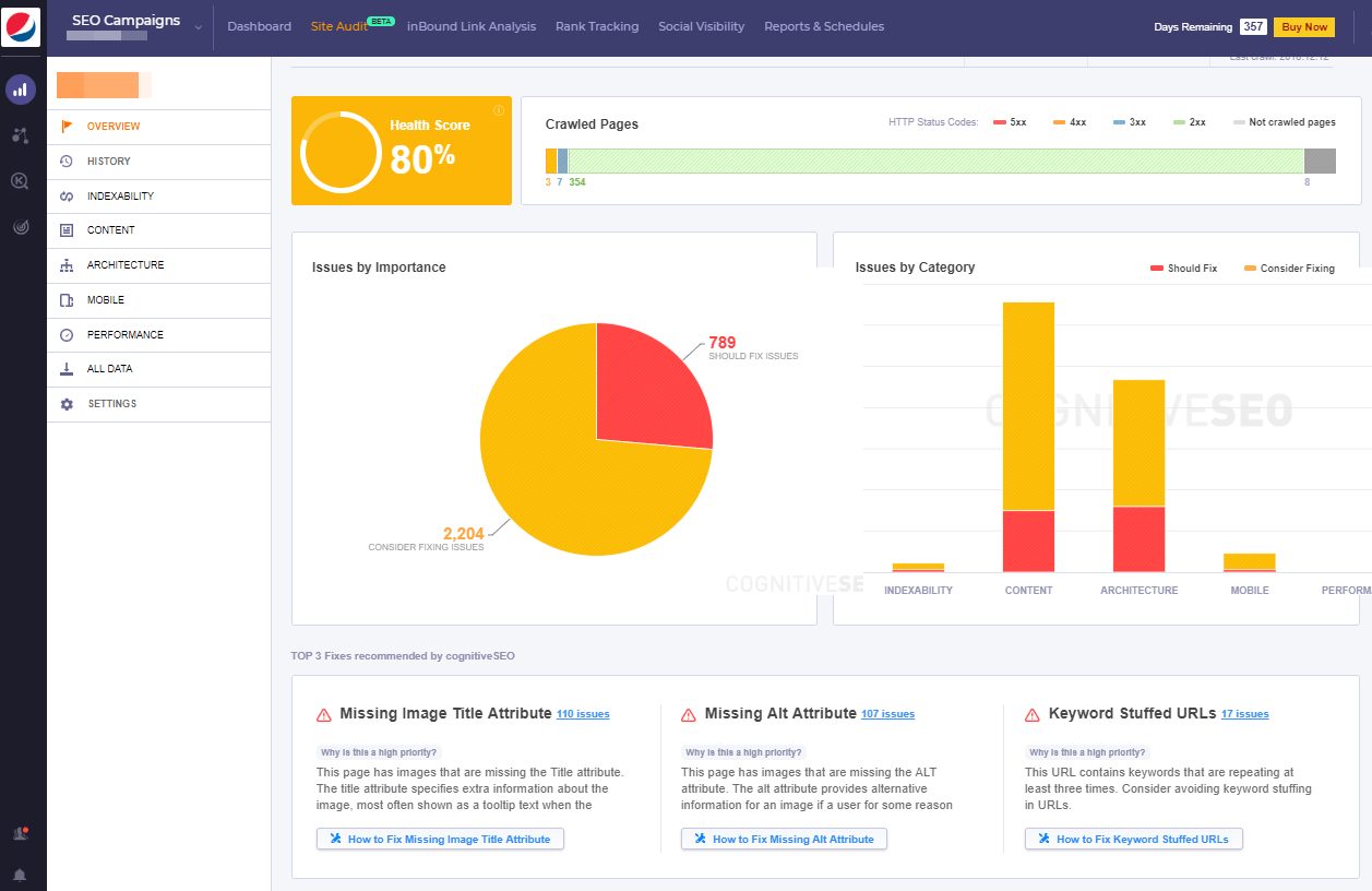 Site Audit