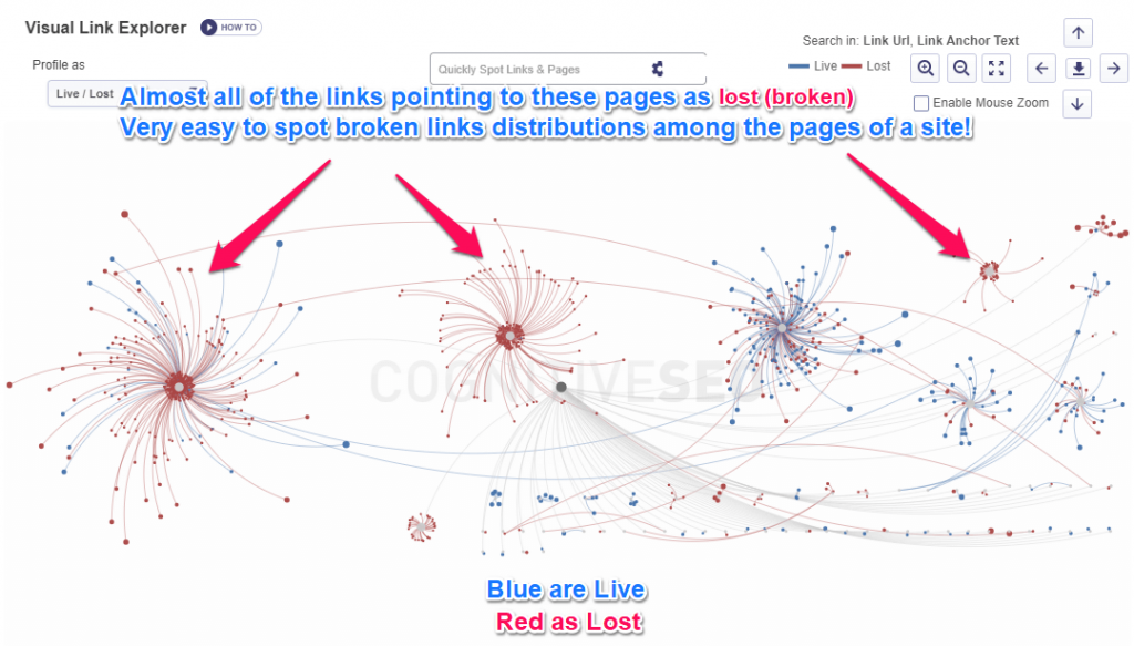 View Broken Links Distribution