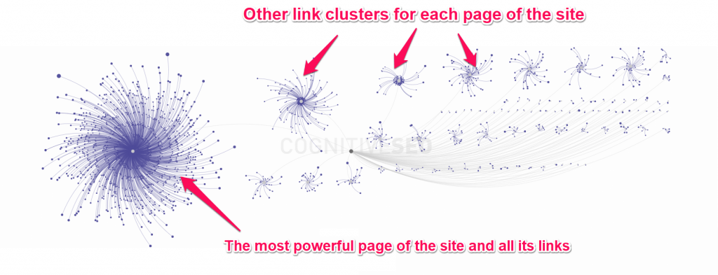 Visually Comprehend Backlink Profiles